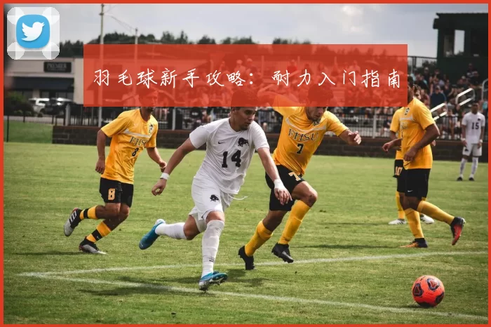 羽毛球新手攻略：耐力入门指南