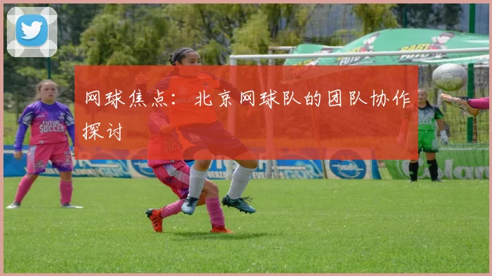 网球焦点：北京网球队的团队协作探讨