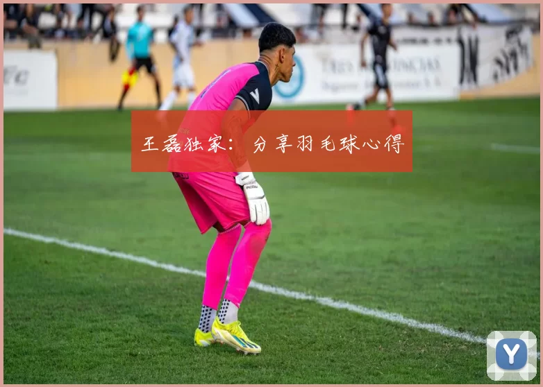 王磊独家：分享羽毛球心得