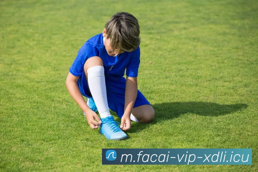 爱游戏体育平台生态图