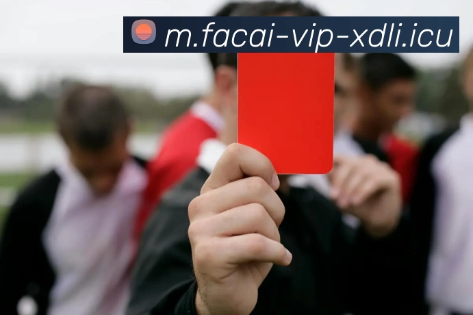 爱游戏体育APP 封面图